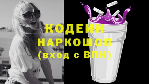 стаф Алагир