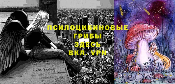герыч Михайловск