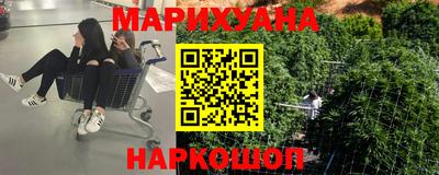 шишки Будённовск