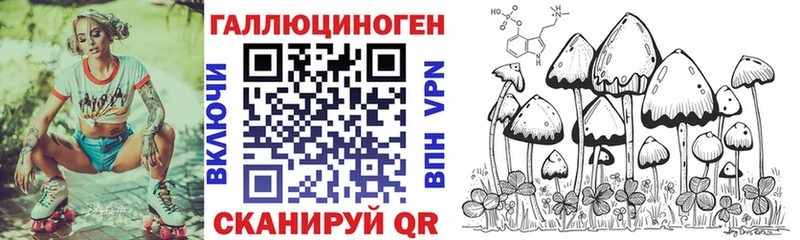 цены   Кирово-Чепецк  сайты даркнета официальный сайт  Псилоцибиновые грибы Cubensis 