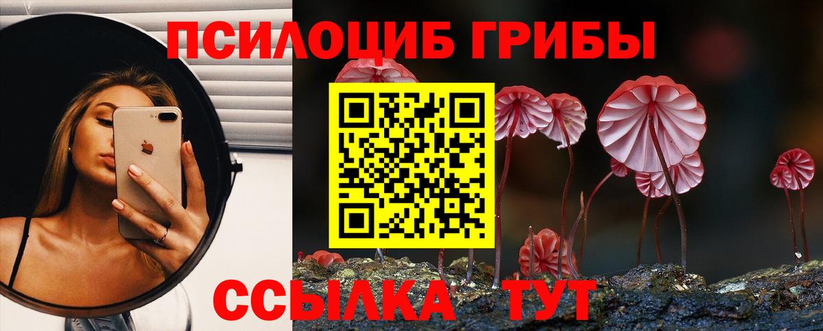 Галлюциногенные грибы GOLDEN TEACHER Кирово-Чепецк