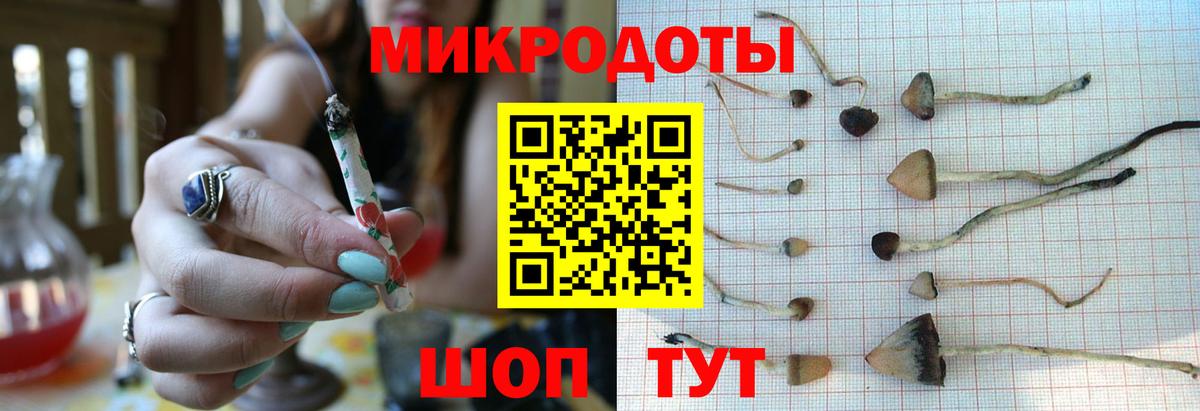 Псилоцибиновые грибы GOLDEN TEACHER Кирово-Чепецк