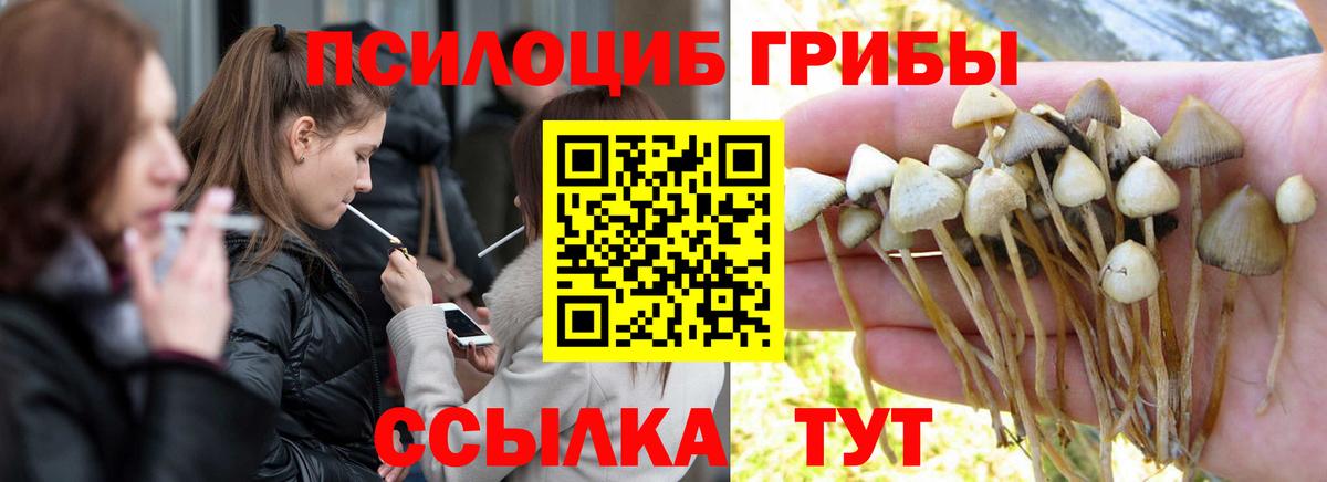Галлюциногенные грибы MAGIC MUSHROOMS  Вход с VPN  Кирово-Чепецк  Псилоцибиновые грибы ЛСД 